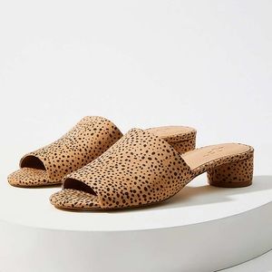 LOFT Round Heel Mules